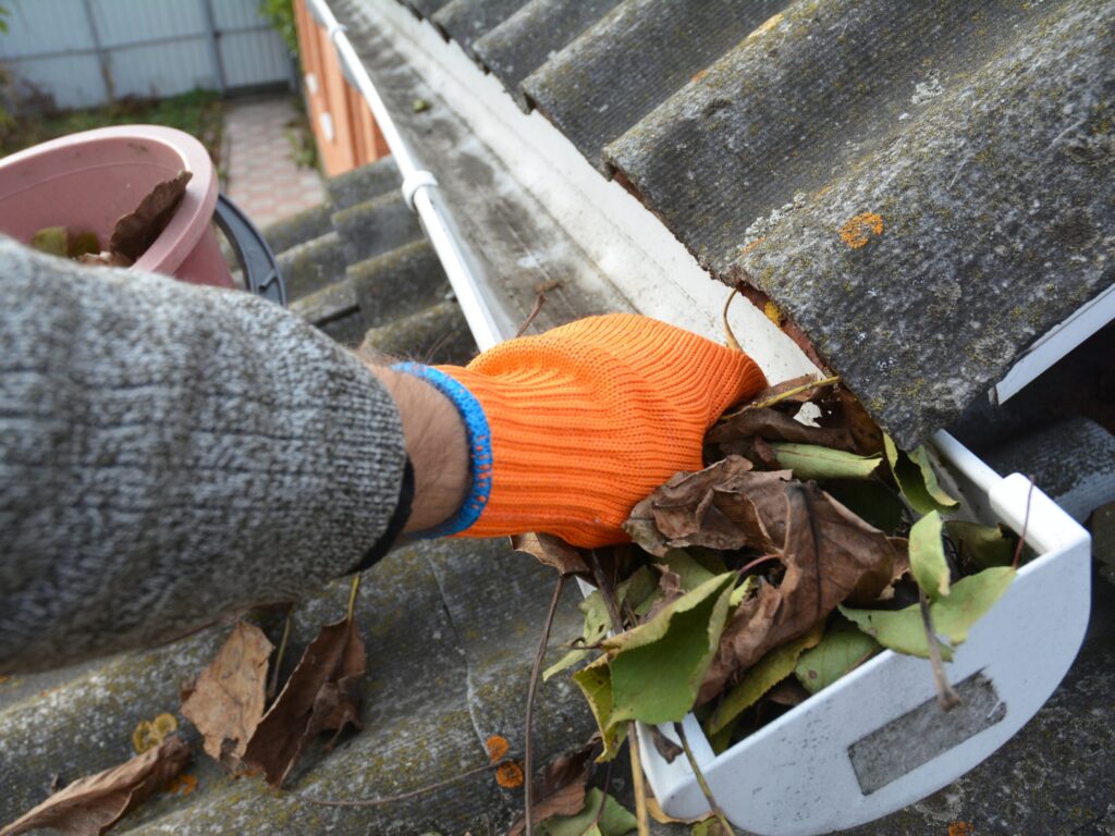 Gutter Cleaning
